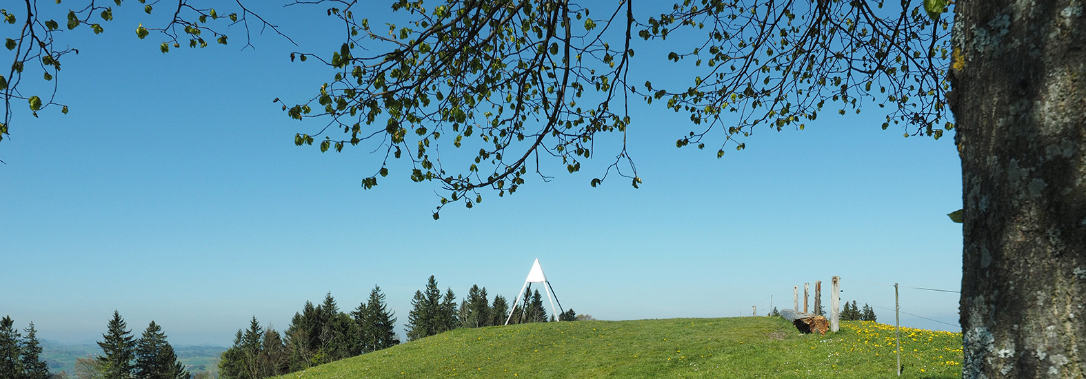 Landschaft Rüeggisberg