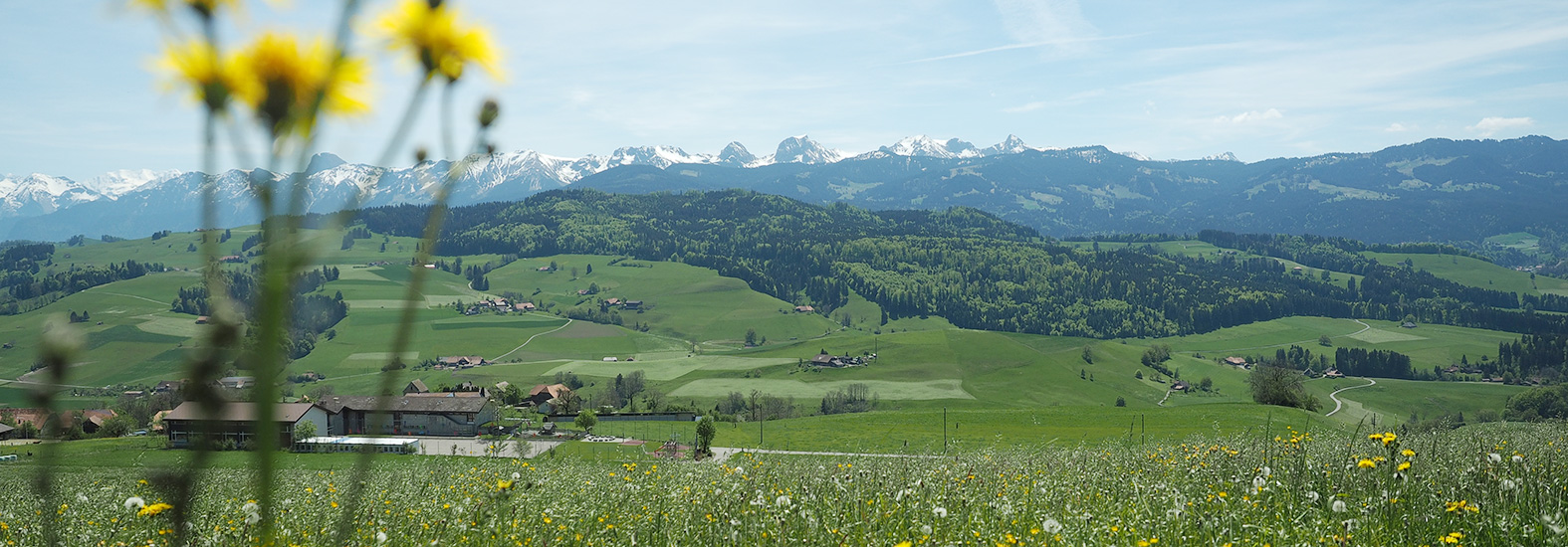 Rüeggisberg Landschaft